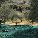 "Moggiano'"Organic extra virgin olive oil/ Olio extravergine d'oliva Biologico
